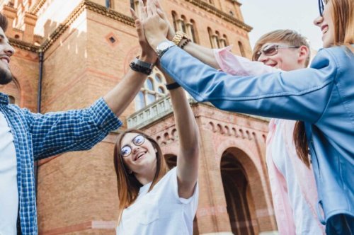 راه اندازی سایت مشاوره مهاجرت