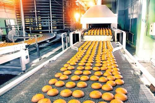 طراحی وب‌سایت شرکت تولیدی صنایع غذایی